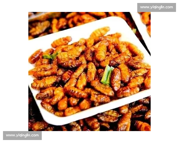 全球最刺激吃虫子大赛现场挑战极限勇气与味蕾体验